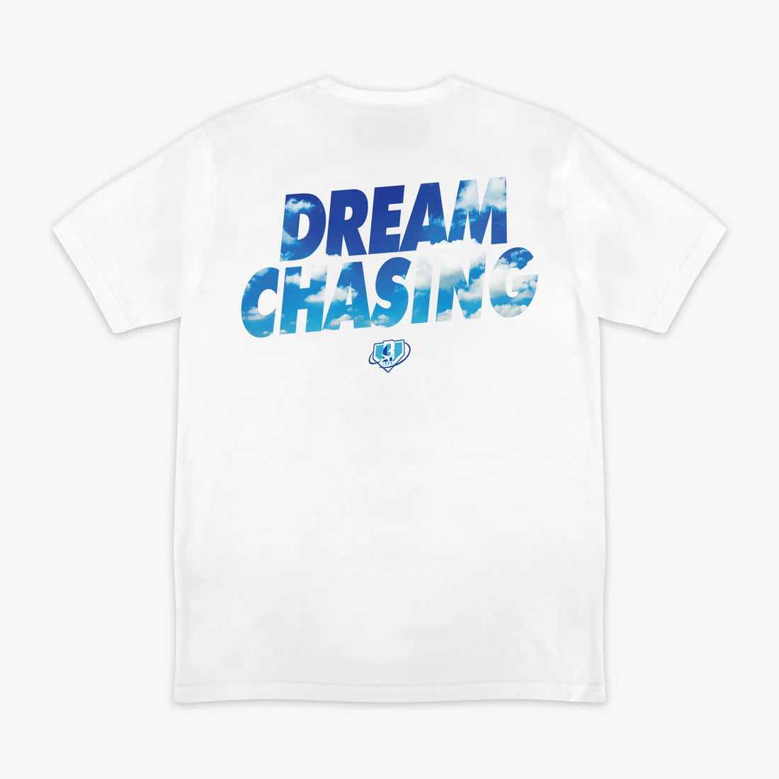 Baseball Lifestyle 101 Adult Dream Chaser Tee
