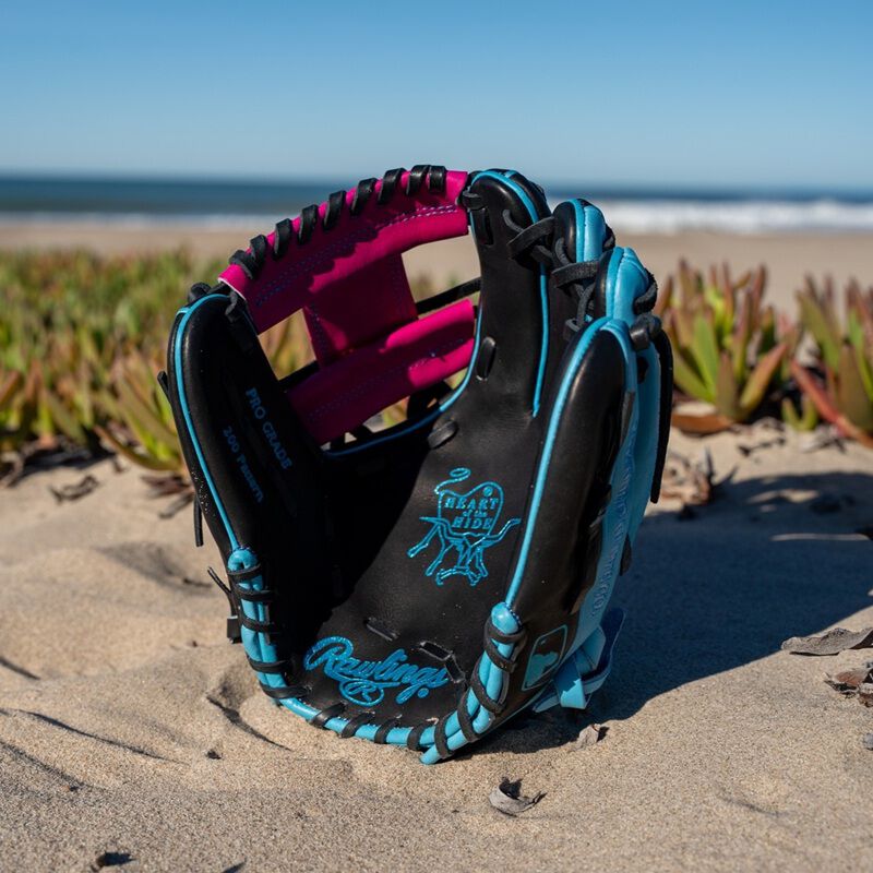 Rawlings Heart of the Hide Spring Break 11.5 Inch Infield Glove: PROR204-2BBE