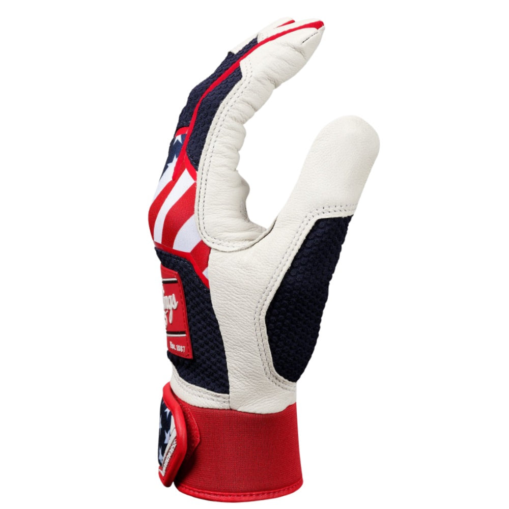 RAWLINGS WORKHORSE BATTING GLOVES: WH22BG-US2-BG