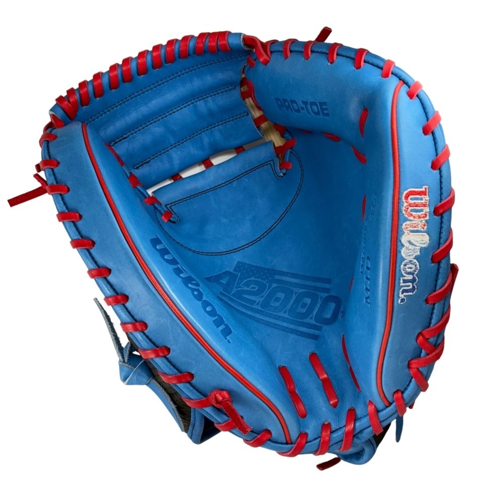 Wilson Custom Black and Autism Blue A2000 CM33" Catcher's Mitt