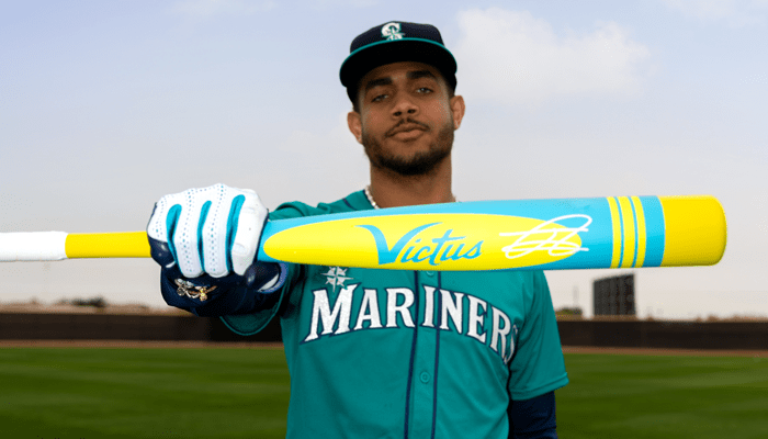 Victus Vibe -11 Pro Crayon JRod Squad Gold USA Tee Ball Baseball Bat: VTBVIBC-JR