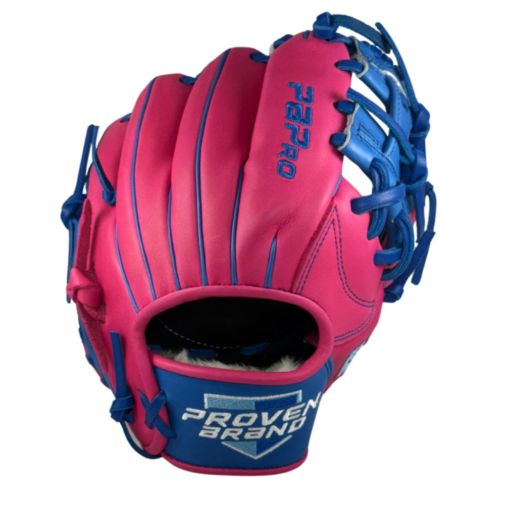 PBPro WashTrainer 9.5" Baseball Glove – Pick of the Month