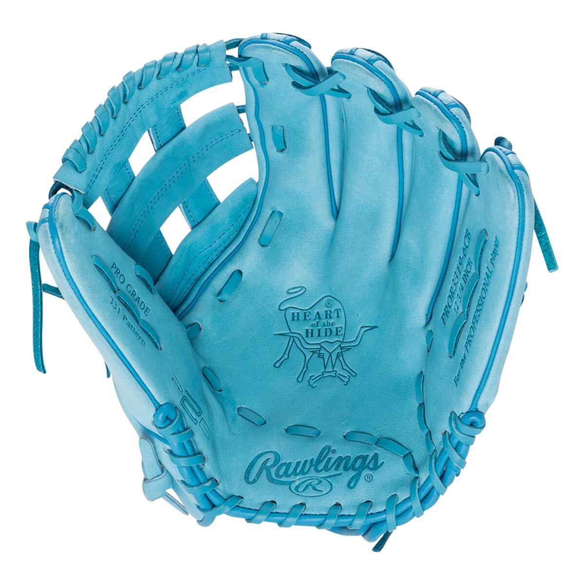 Blue rawlings best sale baseball glove